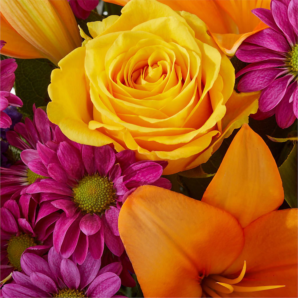 Colorful Visions Bouquet –  Micaelas Flowers And Gifts, Tulsa OK