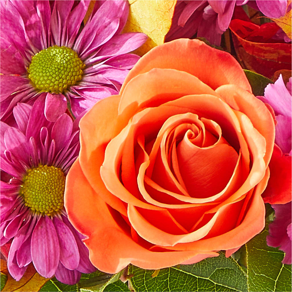 Mum's the Word Bouquet –  Micaelas Flowers And Gifts, Tulsa OK