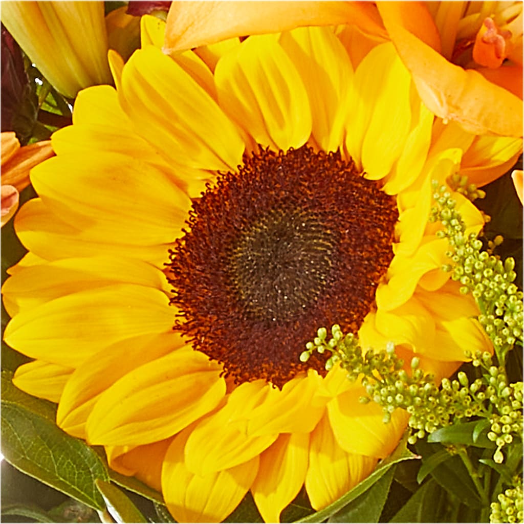 Seasons Change Bouquet –  Micaelas Flowers And Gifts, Tulsa OK