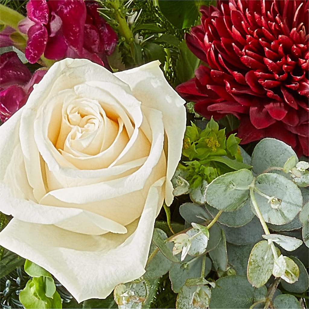 Cranberry Fizz Bouquet –  Micaelas Flowers And Gifts, Tulsa OK