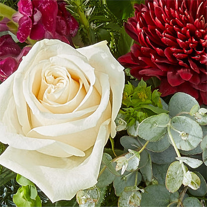 Cranberry Fizz Bouquet –  Micaelas Flowers And Gifts, Tulsa OK