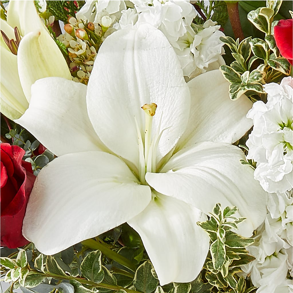 Twinkle Lights Bouquet –  Micaelas Flowers And Gifts, Tulsa OK