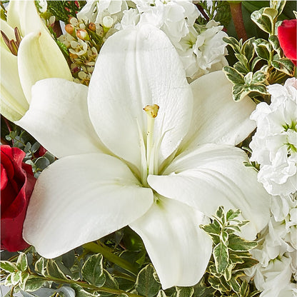 Twinkle Lights Bouquet –  Micaelas Flowers And Gifts, Tulsa OK