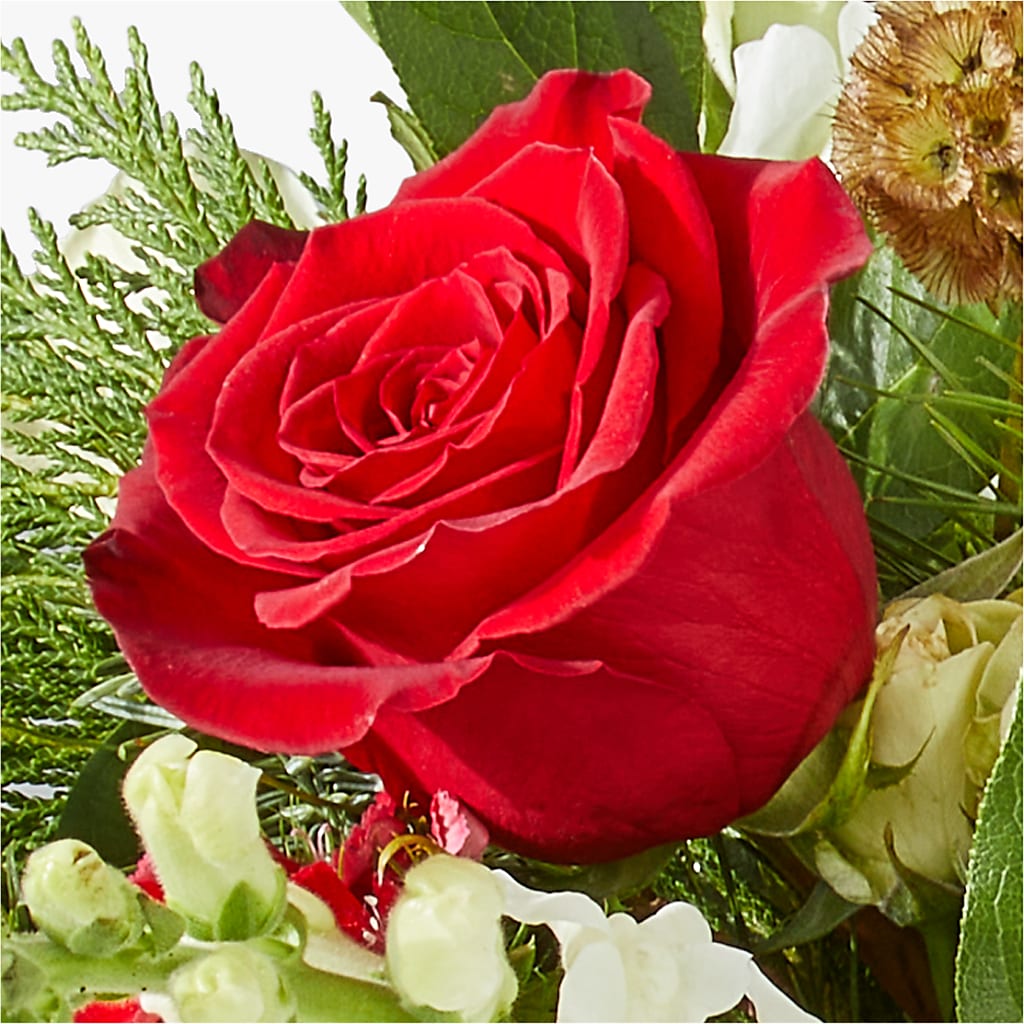 Deck the Halls Bouquet –  Micaelas Flowers And Gifts, Tulsa OK
