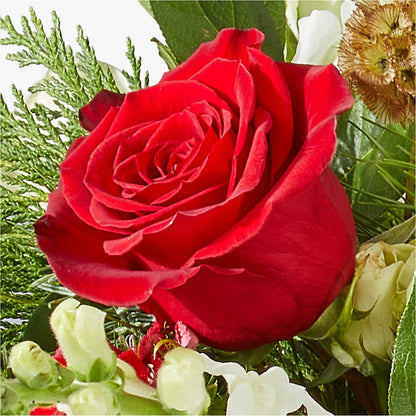 Deck the Halls Bouquet –  Micaelas Flowers And Gifts, Tulsa OK