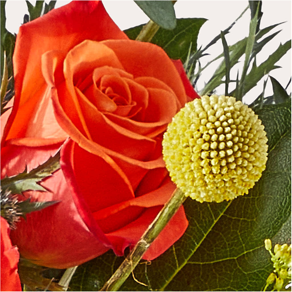 Disco Bouquet –  Micaelas Flowers And Gifts, Tulsa OK