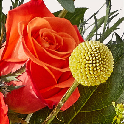 Disco Bouquet –  Micaelas Flowers And Gifts, Tulsa OK