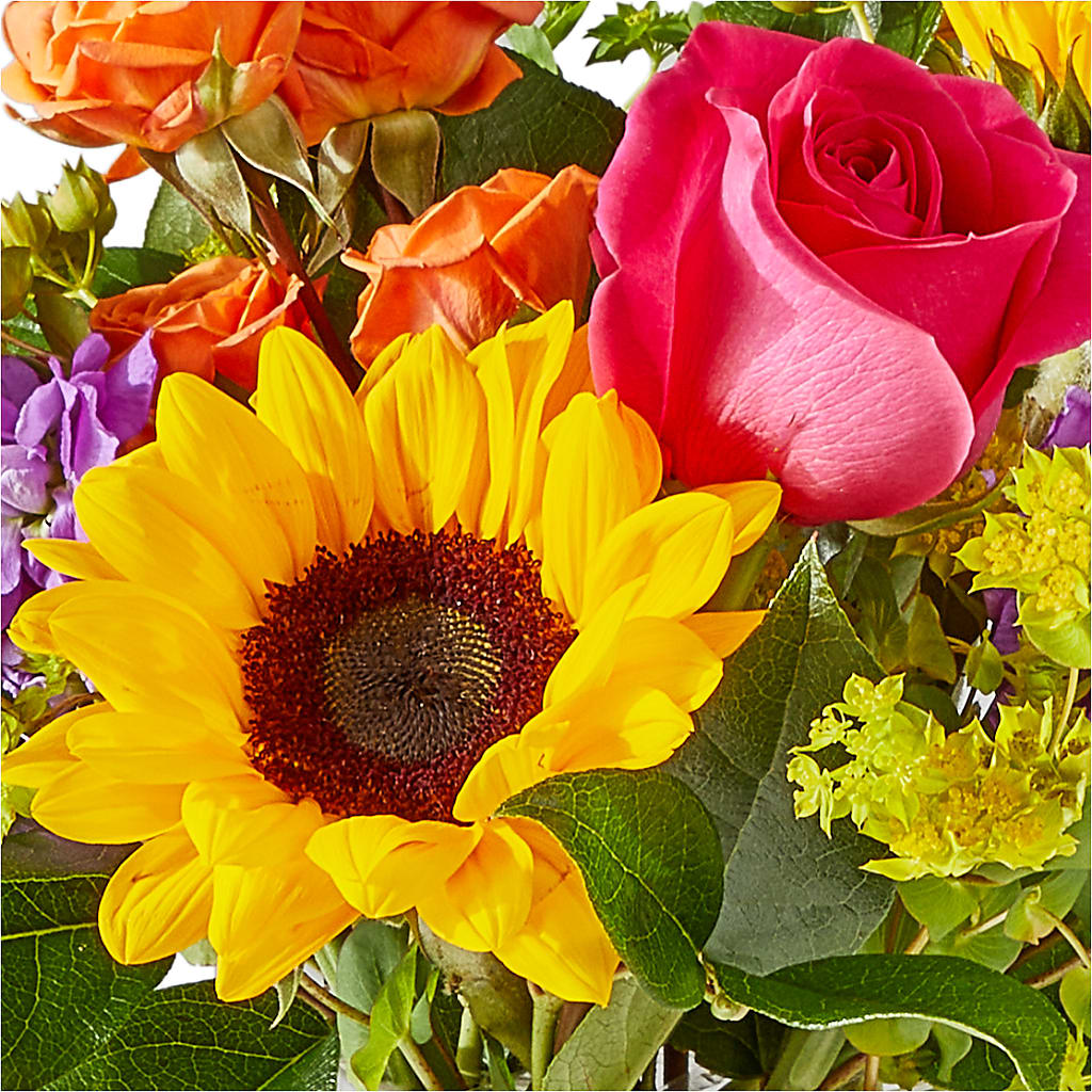 Vibrant Greetings Bouquet –  Micaelas Flowers And Gifts, Tulsa OK