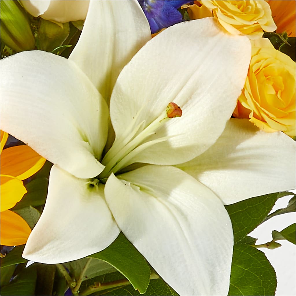 Wonderfully Sunny Bouquet –  Micaelas Flowers And Gifts, Tulsa OK