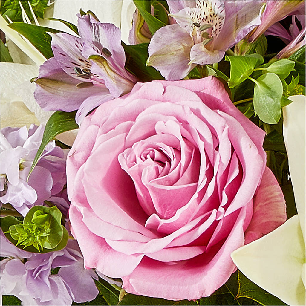 Daydreamer Bouquet –  Micaelas Flowers And Gifts, Tulsa OK