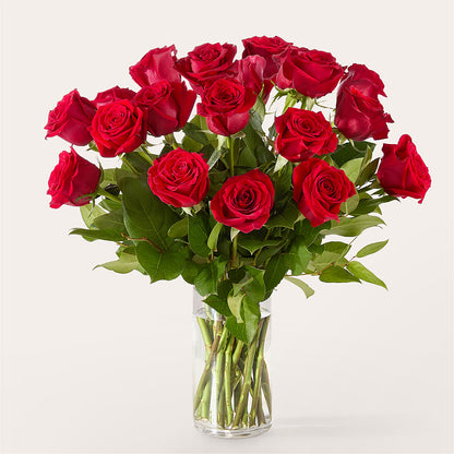 The One Red Rose Bouquet –  Micaelas Flowers And Gifts, Tulsa OK