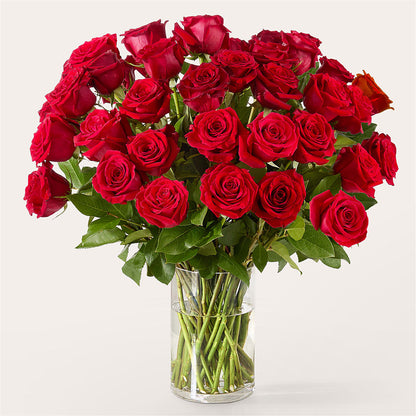 The One Red Rose Bouquet –  Micaelas Flowers And Gifts, Tulsa OK
