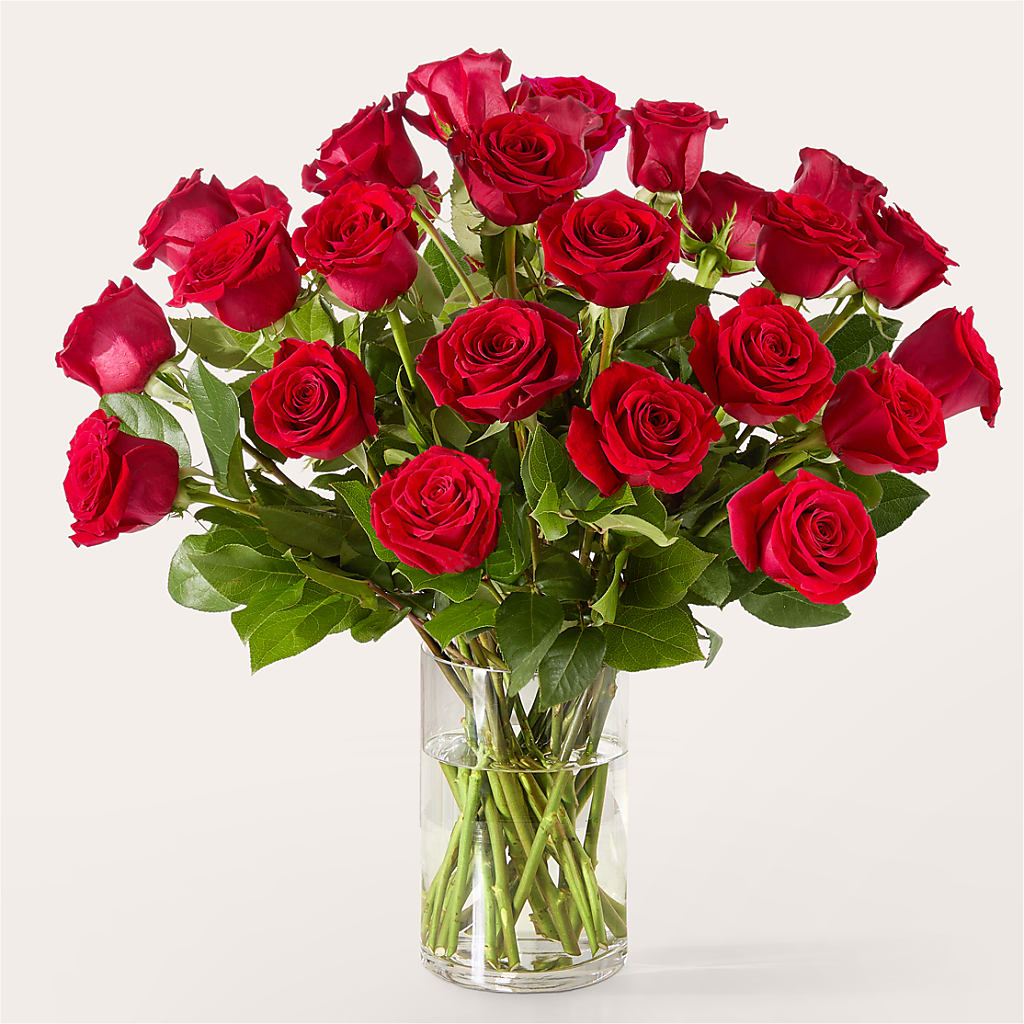 The One Red Rose Bouquet –  Micaelas Flowers And Gifts, Tulsa OK