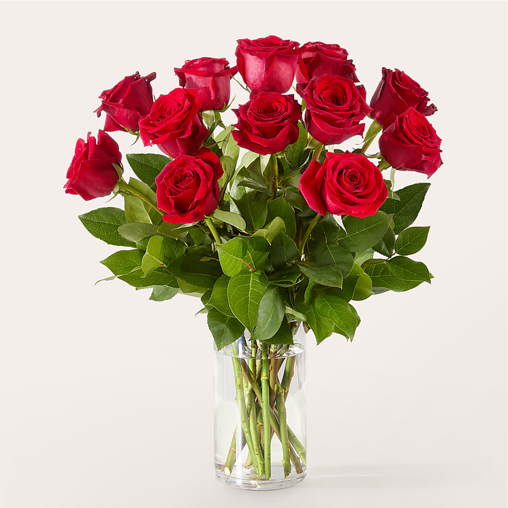 The One Red Rose Bouquet –  Micaelas Flowers And Gifts, Tulsa OK