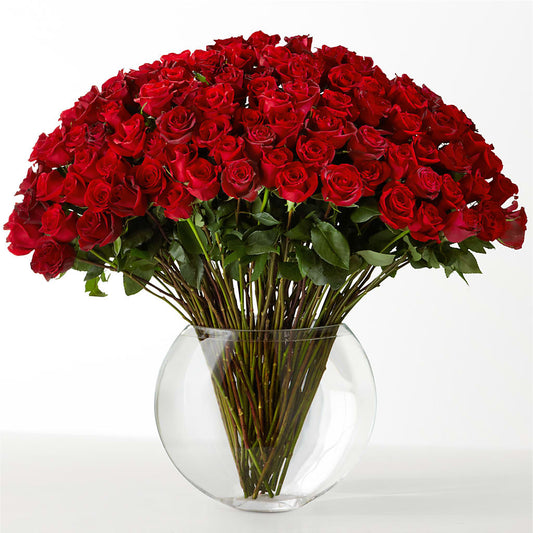 The Idealist –  Micaelas Flowers And Gifts, Tulsa OK