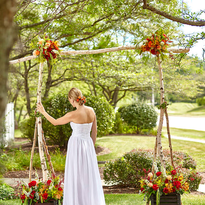 Arbor of Love Archway –  Micaelas Flowers And Gifts, Tulsa OK