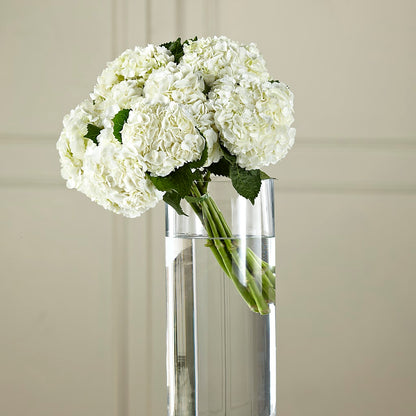 White Hydrangea Hand-Tied Bouquet –  Micaelas Flowers And Gifts, Tulsa OK