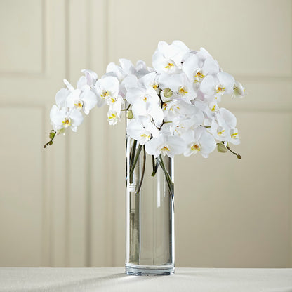White Phalaenopsis Bouquet –  Micaelas Flowers And Gifts, Tulsa OK