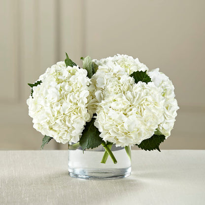 White Hydrangea Bouquet –  Micaelas Flowers And Gifts, Tulsa OK